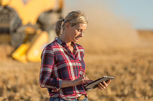 Entlastung des Betriebsleiters